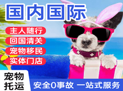 玉龙航空快递国际宠物托运 【国